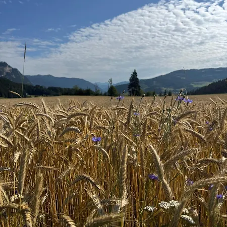 Sonnenblick Apartmán Teufenbach (Murau)